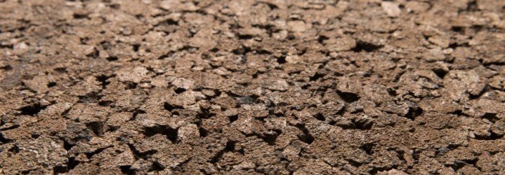 PANNEAU Liège expansé pur (100 x 50 cm) - m²