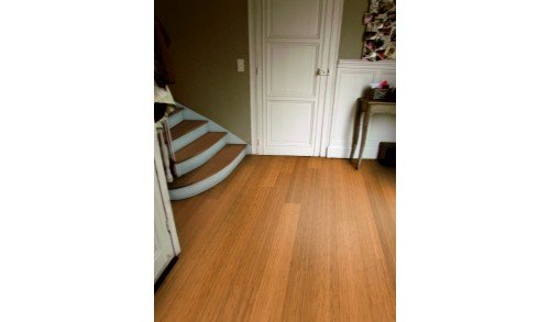 BAMBOOTOUCH - Parquet en bambou Vertical Caramel Tradition - Collection Classic - 15x150x1940 - Huile