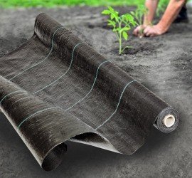 CASSART - Geotextile Couvre sol/Anti racine 25x2M