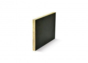 MULTIPLEX LISSE NOIR BOULEAU FILME RUSSIE 1,25X2,5