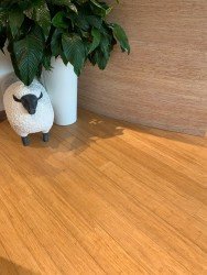 BAMBOOTOUCH-parquet Bamwood Gold Evolution Click