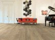CORETEC XL-END Montclair