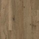 CORETEC XL-END Windsor