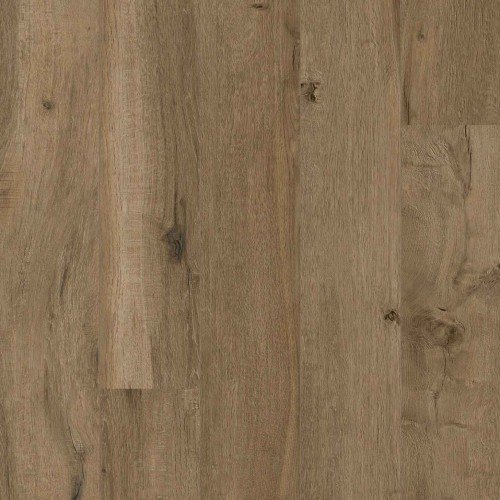 CORETEC XL-END Windsor