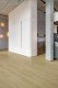 CORETEC SurPlus Elegance Oak 76