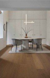 CORETEC Tytan Dione