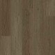 CORETEC Tytan Leto