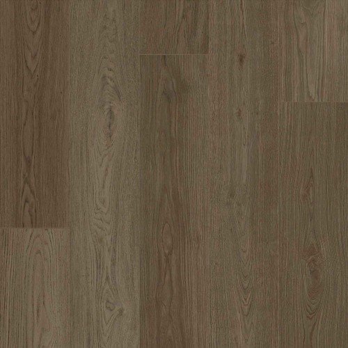 CORETEC Tytan Leto