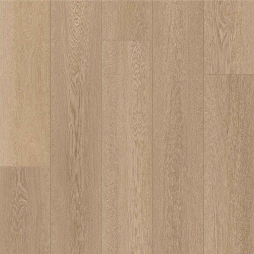 CORETEC Tytan Rhea
