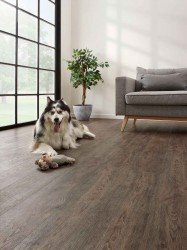 CORETEC The Essentials 1500 Series Jasper Oak 01