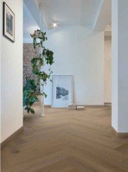 CORETEC Naturals WBE Series Sorrel
